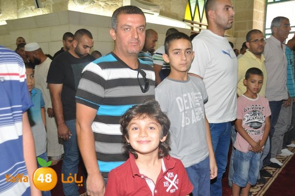 bazsalah lud 712 (32).JPG